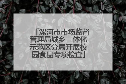 漯河市市场监督管理局城乡一体化示范区分局开展校园食品专项检查