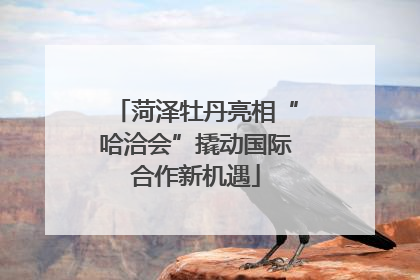 菏泽牡丹亮相“哈洽会”撬动国际合作新机遇