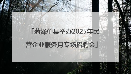 菏泽单县举办2025年民营企业服务月专场招聘会