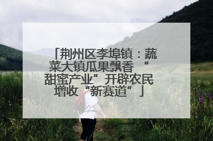 荆州区李埠镇：蔬菜大镇瓜果飘香 “甜蜜产业”开辟农民增收“新赛道”