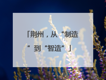 荆州，从“制造”到“智造”