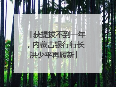获提拔不到一年，内蒙古银行行长洪少平再履新
