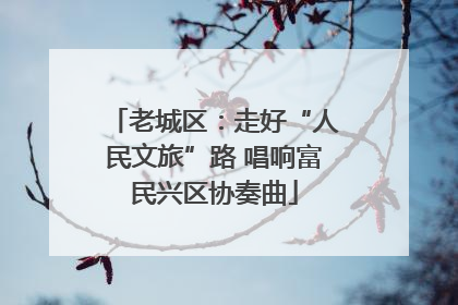 老城区：走好“人民文旅”路 唱响富民兴区协奏曲