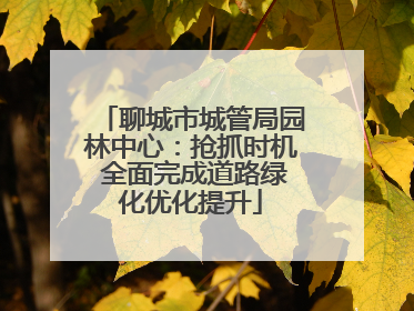 聊城市城管局园林中心：抢抓时机 全面完成道路绿化优化提升