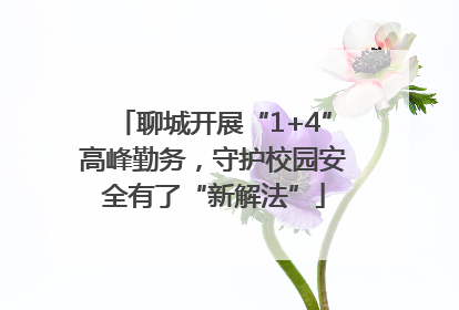 聊城开展“1+4”高峰勤务，守护校园安全有了“新解法”
