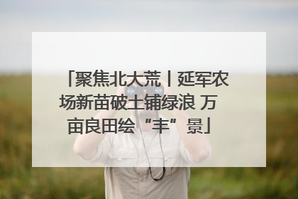 聚焦北大荒丨延军农场新苗破土铺绿浪 万亩良田绘“丰”景