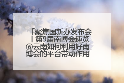 聚焦国新办发布会丨第9届南博会速览⑥云南如何利用好南博会的平台带动作用，深化与南亚国家的交流与合作？