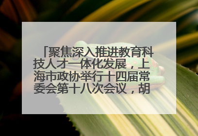 聚焦深入推进教育科技人才一体化发展，上海市政协举行十四届常委会第十八次会议，胡文容出席并讲话