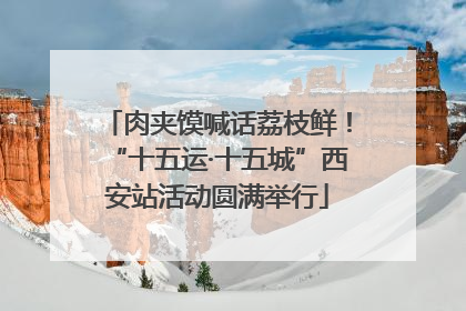 肉夹馍喊话荔枝鲜！“十五运·十五城”西安站活动圆满举行