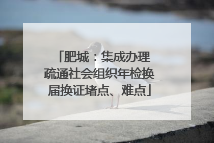 肥城：集成办理 疏通社会组织年检换届换证堵点、难点