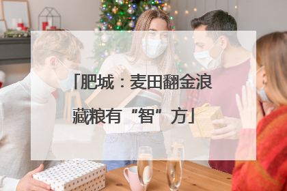 肥城：麦田翻金浪藏粮有“智”方