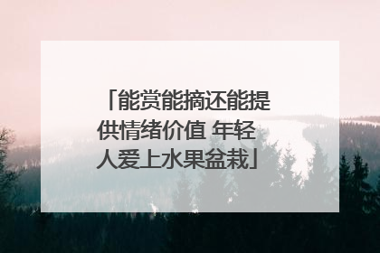 能赏能摘还能提供情绪价值 年轻人爱上水果盆栽