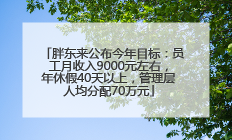 胖东来公布今年目标：员工月收入9000元左右，年休假40天以上，管理层人均分配70万元