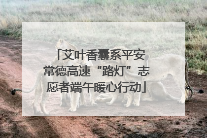 艾叶香囊系平安 常德高速“路灯”志愿者端午暖心行动