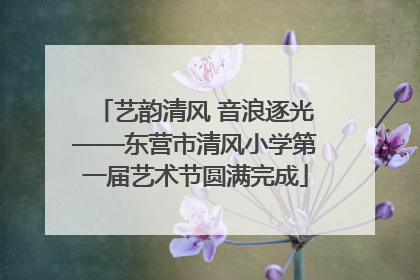 艺韵清风 音浪逐光——东营市清风小学第一届艺术节圆满完成