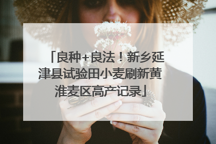 良种+良法！新乡延津县试验田小麦刷新黄淮麦区高产记录