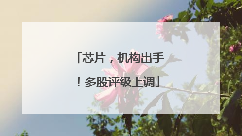 芯片，机构出手！多股评级上调