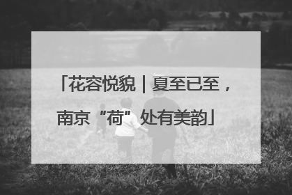 花容悦貌｜夏至已至，南京“荷”处有美韵
