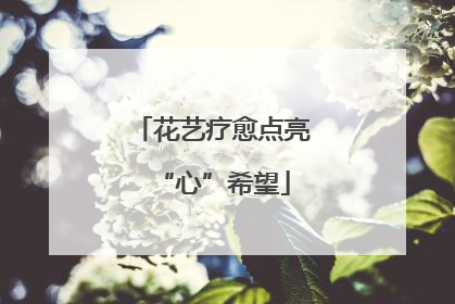 花艺疗愈点亮“心”希望