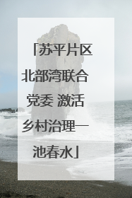苏平片区北部湾联合党委 激活乡村治理一池春水