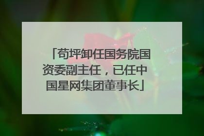 苟坪卸任国务院国资委副主任，已任中国星网集团董事长
