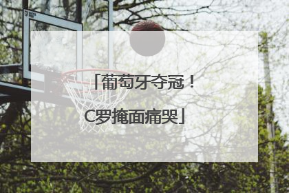 葡萄牙夺冠！C罗掩面痛哭