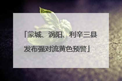 蒙城、涡阳、利辛三县发布强对流黄色预警