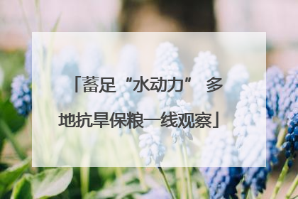 蓄足“水动力” 多地抗旱保粮一线观察