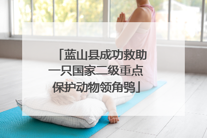 蓝山县成功救助一只国家二级重点保护动物领角鸮