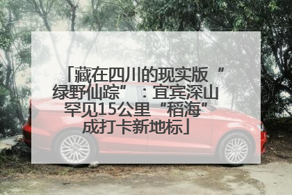 藏在四川的现实版“绿野仙踪”：宜宾深山罕见15公里“稻海”成打卡新地标