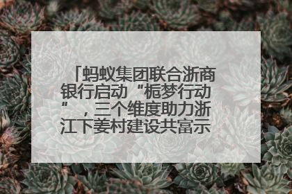 蚂蚁集团联合浙商银行启动“栀梦行动”，三个维度助力浙江下姜村建设共富示范区示范点