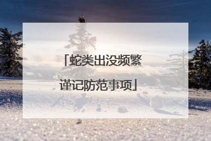 蛇类出没频繁 谨记防范事项
