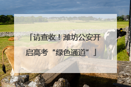 请查收！潍坊公安开启高考“绿色通道”