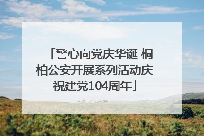 警心向党庆华诞 桐柏公安开展系列活动庆祝建党104周年