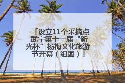 设立11个采摘点 武宁第十一届“新光杯”杨梅文化旅游节开幕（组图）