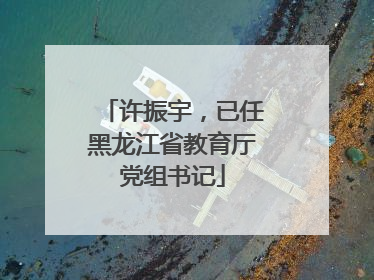 许振宇，已任黑龙江省教育厅党组书记