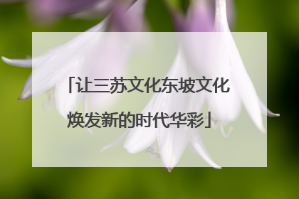让三苏文化东坡文化焕发新的时代华彩