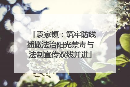 袁家镇：筑牢防线播撒法治阳光禁毒与法制宣传双线并进