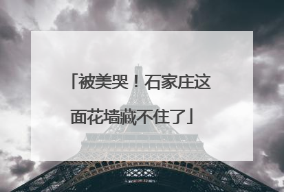 被美哭！石家庄这面花墙藏不住了