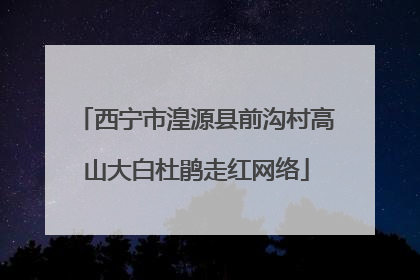 西宁市湟源县前沟村高山大白杜鹃走红网络