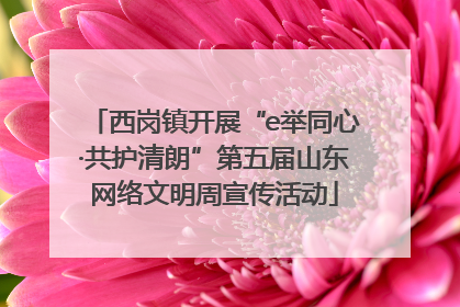 西岗镇开展“e举同心·共护清朗”第五届山东网络文明周宣传活动