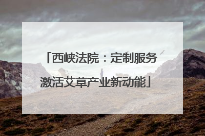 西峡法院：定制服务激活艾草产业新动能