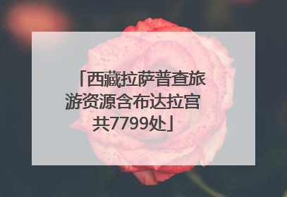 西藏拉萨普查旅游资源含布达拉宫共7799处