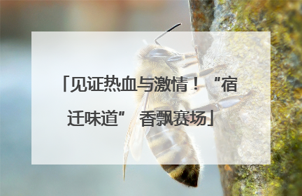见证热血与激情！“宿迁味道” 香飘赛场