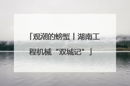 观潮的螃蟹丨湖南工程机械“双城记”