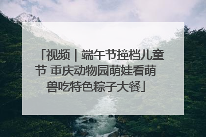 视频｜端午节撞档儿童节 重庆动物园萌娃看萌兽吃特色粽子大餐