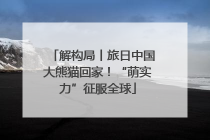 解构局丨旅日中国大熊猫回家！“萌实力”征服全球