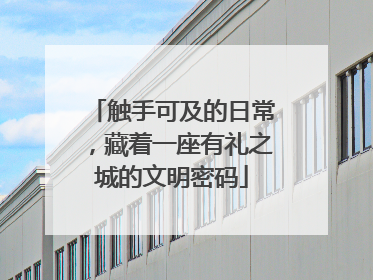 触手可及的日常，藏着一座有礼之城的文明密码