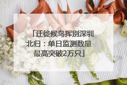 迁徙候鸟挥别深圳北归：单日监测数量最高突破2万只