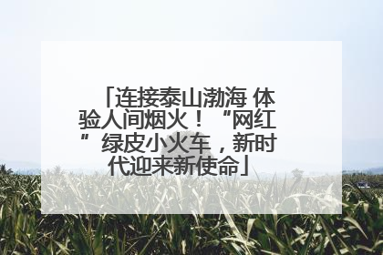 连接泰山渤海 体验人间烟火！“网红”绿皮小火车，新时代迎来新使命